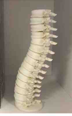 Rare Harry Potter PROMO AZKABAN LUPIN Spine VERTEBRAE CANDLE Holder DARK ARTS!!