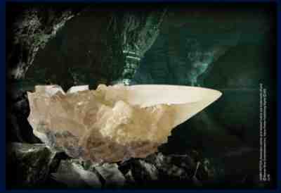 Harry Potter The Crystal Goblet