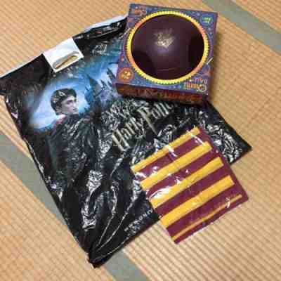 harry potter Universal Studio Japan quaffle ball 8.5