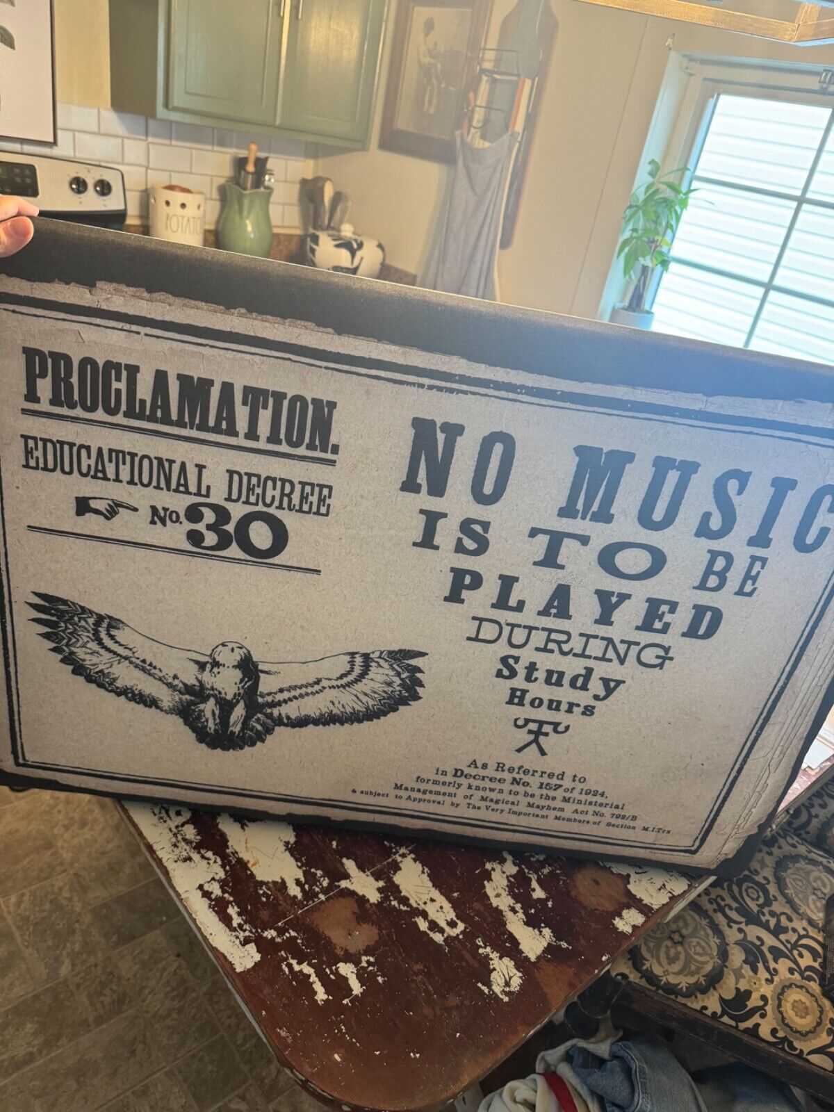 RARE Pottery Barn Teen Harry Potter Proclamation Pinboard 24” X 36” EUC