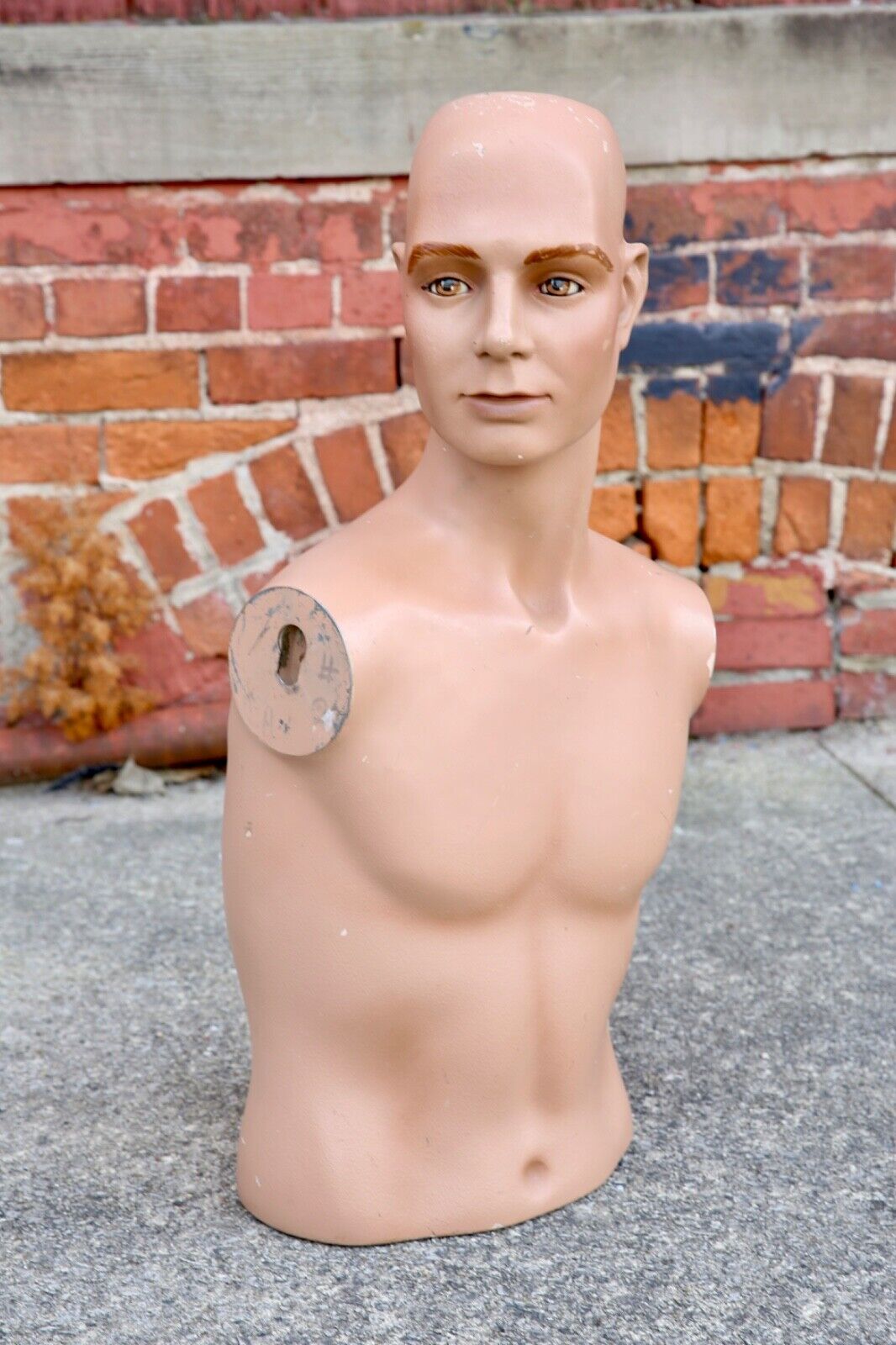 Antique Vintage Wolf Vine Greneker Mannequin Male hat Store display head bust