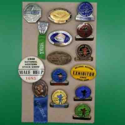 National Western Stock Show Hat and Shirt Pins Set of 15 1940s 1950s 1960s VTG