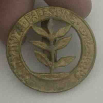 Israel idf insignia vintage Palestine regnant hat badge pin