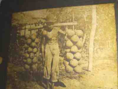 RARE ASIAN YOUNG MAN MUSCLE MAN CARRYING COCONUTS WEARING DERBY HAT PHOTO