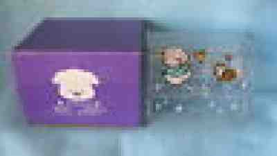SANRIO Kobuta No PIPPO Clear Jewelry Case Flower Plexiglas Vintage 1993-1995 New