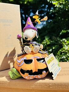 Halloween Jim 2024 shore snoopy lot