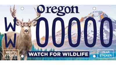 Watch for Wildlife #00020 Oregon Specialty License Plate for Motor Vehicles