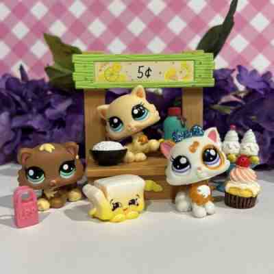 Lps triplet kittens cheap