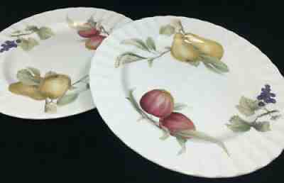 2 Dinner Plates Mikasa Maxima Belle Terre CAJ05 Japan Furit Ribbed White Scallop