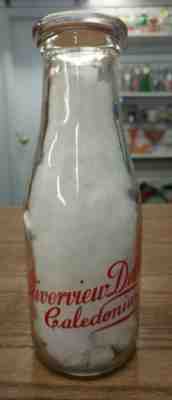 VINTAGE RIVERVIEW DAIRY CALEDONIA ONT. PINT MILK BOTTLE