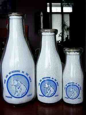 3) TRPQ 1940s POLAR BEAR Prince Albert SASKATCHEWAN dairy milk bottle CANADA SET