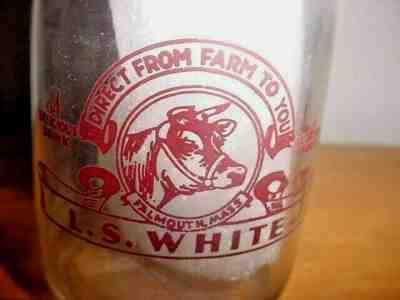 RARE PINT MILK L.S. WHITE FALMOUTH MASS. COWS DARK RED PYRO