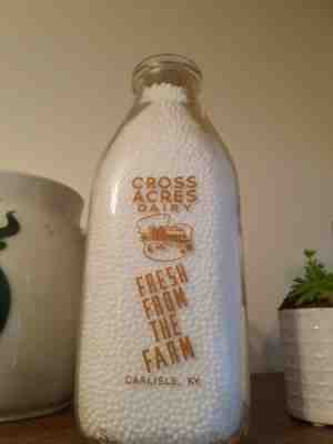 Cross Acres Dairy Carlisle Kentucky KY Milk Bottle QT Cow Pic