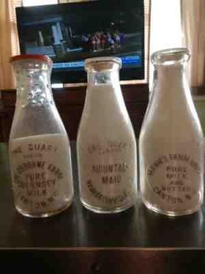 3 Quarts Mann's Farm & Osborne Farm from Canton,N.C. and Mt. Maid Hendersonville