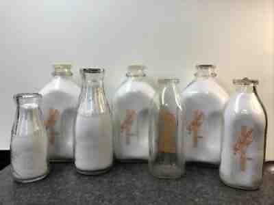 7- Mc Mahon Dairy Bottles Altoona PA Half Gallon,Quart And Pint Some Are Capped