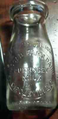 HALF PT. MILK BOTTLE 'RINGOLD FARM DAIRY GUERNSEY MILK CIRCLEVILLE O MINT    