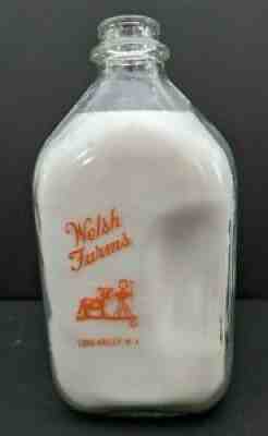 Welsh Farms Half Gallon Milk Bottle Long Valley, NJ