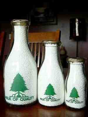 3) 1940s Purves EVERGREEN Owosso MICHIGAN Mich. MI. dairy milk bottle 1/2P-P-Q