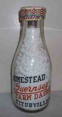 Homestead Guernsey Farm Dairy Titusville PA. Pyro Quart Full Bodied Guernsey Cow