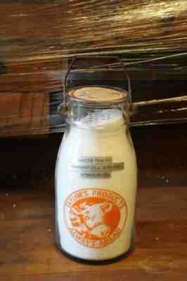 Taylor's Dairy Gallon Milk Bottle Jug, Ambridge, PA., Beaver County