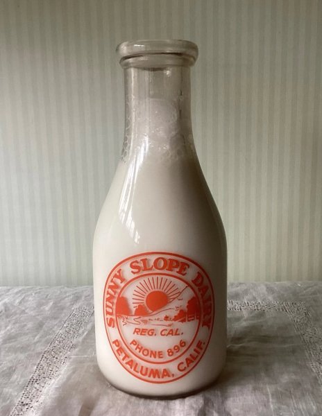 VINTAGE PETALUMA CALIFORNIA SUNNY SLOPE DAIRY MILK BOTTLE