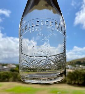 Challenge Milk California Milk Bottle