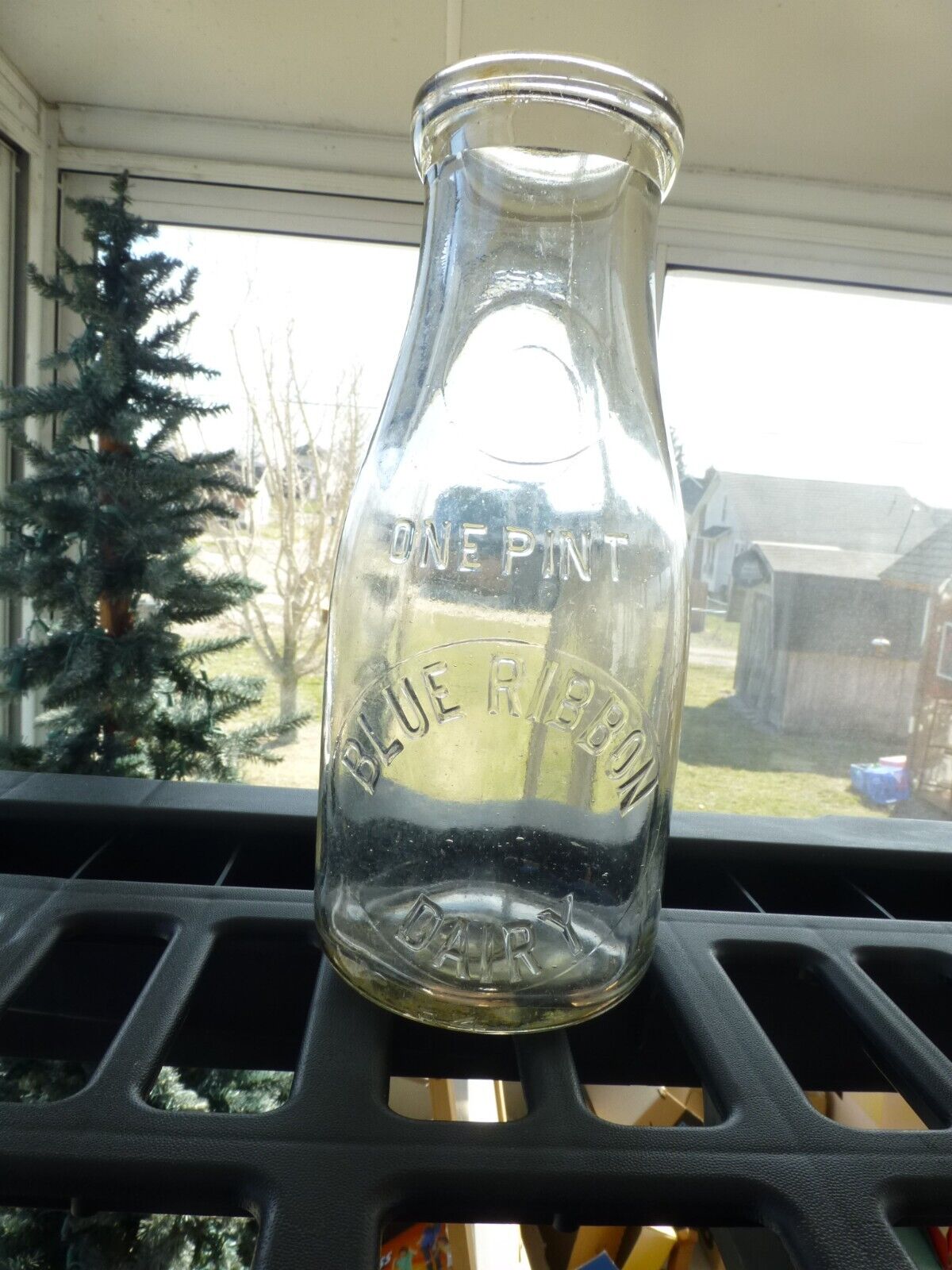 Blue Ribbon Dairy Pint Milk Bottle , May Be Circleville ohio ?