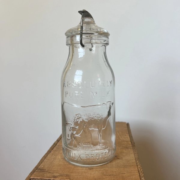 8" Absolutely Pure Milk - H D T & Co - Milk Bottle - Potsdam NY - New York