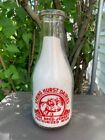 Vintage Pyro Milk Bottle Pictured Cow - Spring Hurst Daries Mount Plesant Texas