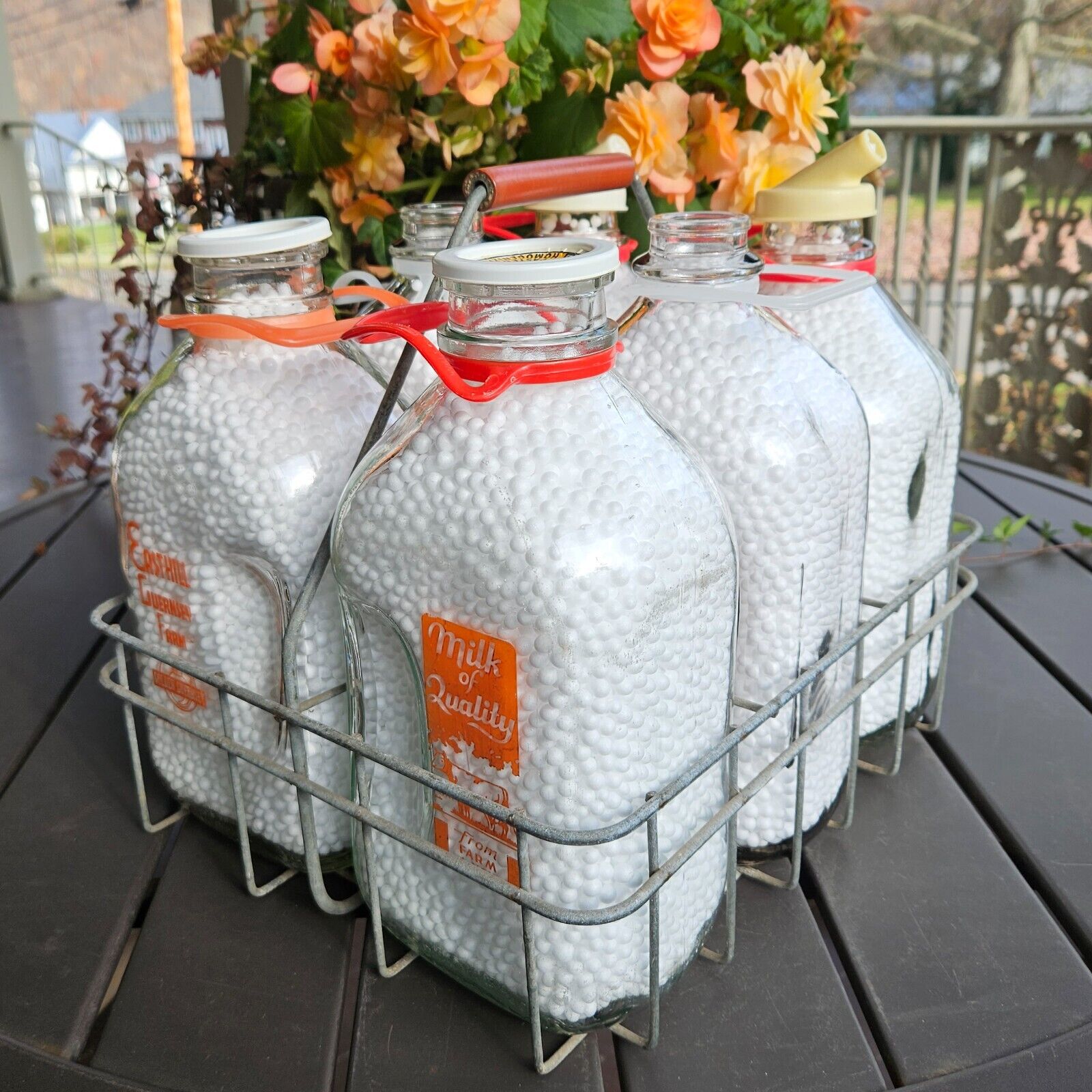6 Vintage West PA Half Gallon Milk Bottles Carrier Easthill, Elmview, Pot O Gold