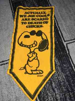 Peanuts Memorabilia Collectibles : Peanuts Pennant Banner Value