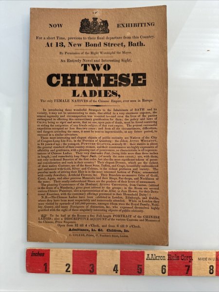 ORIGINAL 19th C Broadside Natural Curiosity Museum Freaks History Exhibition