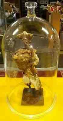 Vintage Pyrex Large 17â?High Glass Cloche Dome Bell Jar Apothecary VERY RARE
