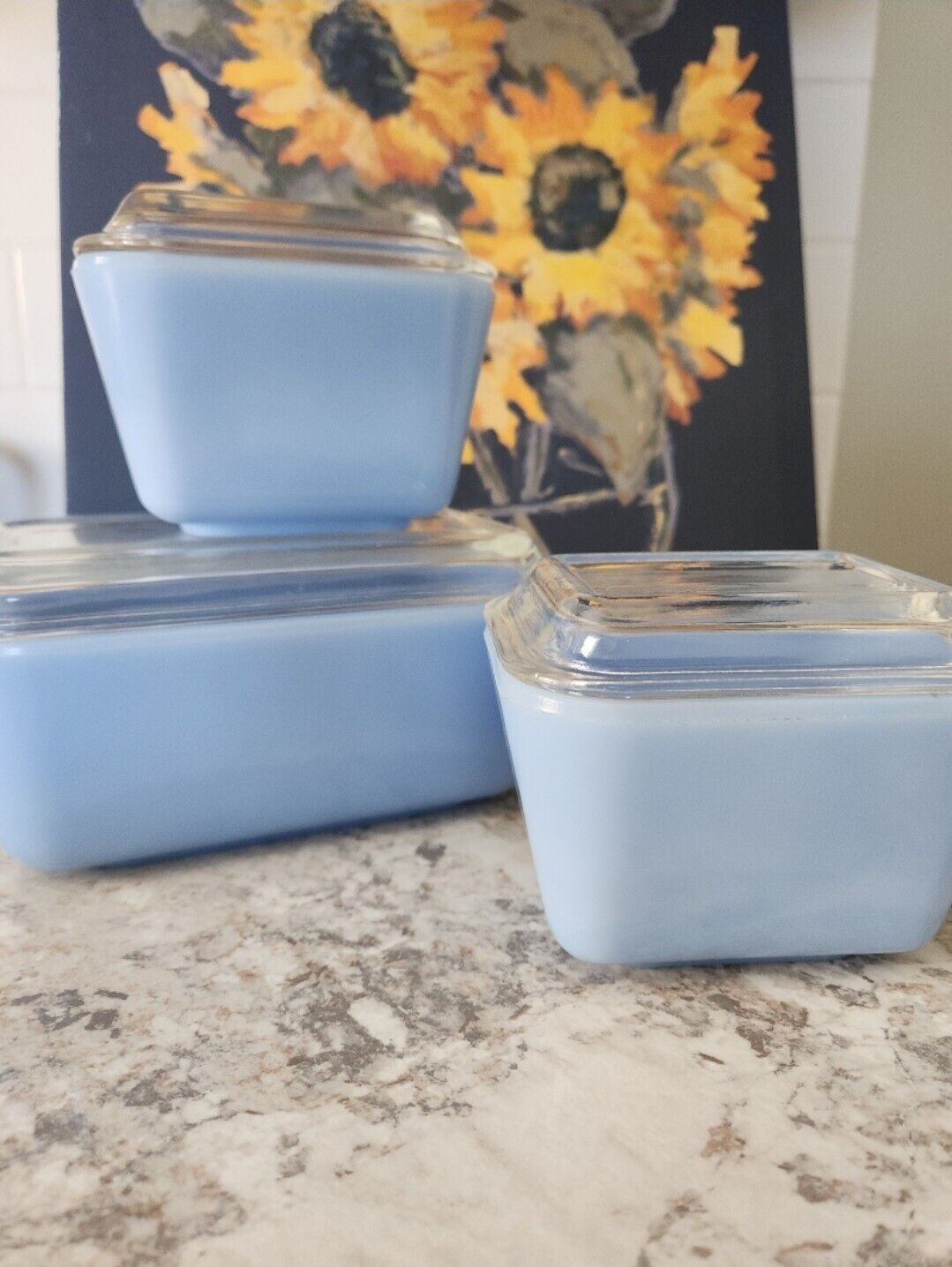Vintage Pyrex Canada Bluebell Blue Delphite Fridgies 501 & 502 Half Ribbed Lids