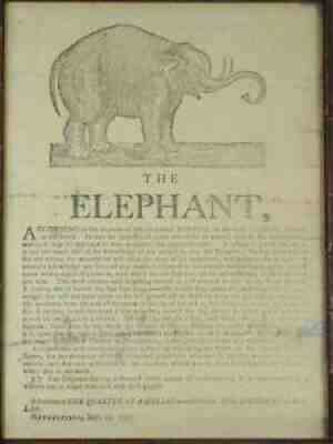 Rare Antique First Elephant In America Advertising Broadside Newburyport MA 1797