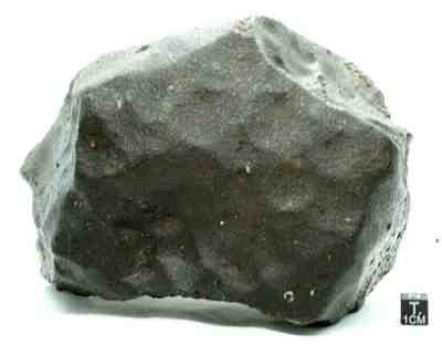 Meteorite NWA 13309 LL3.15 Primitive Chondrite Rare type 3 Meteorite 1928 Gram