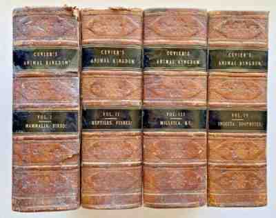 1834 Cuvier THE ANIMAL KINGDOM 4 Vols COMPLETE Leather 629 HC Plts/2,871pp RARE!
