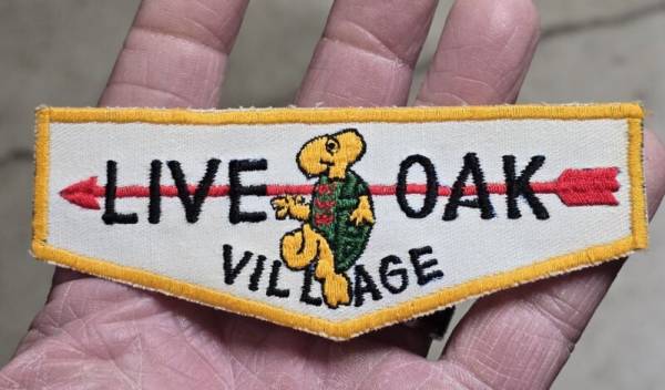 Values Guide Patch Rare And Collectible Scout Patches : Village Scout Patch Value Guide ...