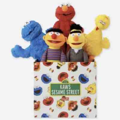 Kaws x Sesame Street Uniqlo Plush Toy Box Set Limited Edition Ships Today