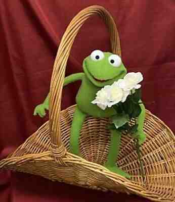 Custom Made Professional Full Body Little Frog Puppet!!!