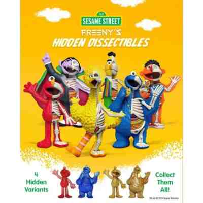 Sesame Street Hidden Dissectible Series Sealed Case 12 Blind Box