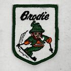 BRODIE MOUNTAIN patch Ski Resort Souvenir New Ashford Lost Massachusetts Area