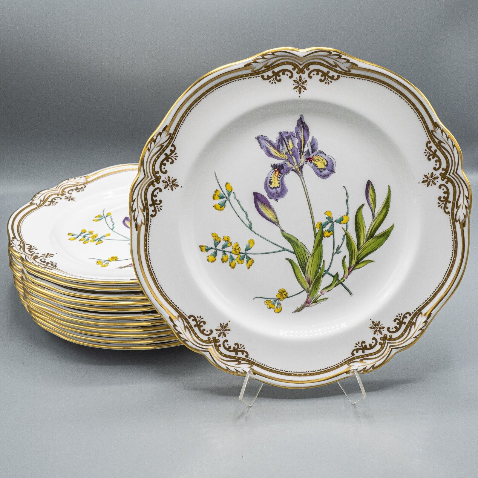 Spode Stafford Flowers Service for 12 RESERVED - FREE USA SHIPPING