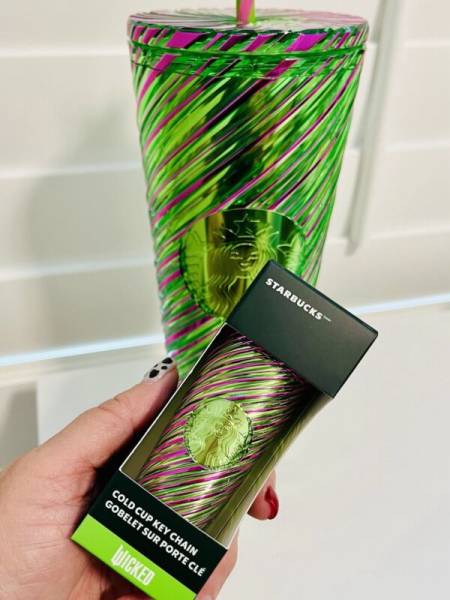 New  Wicked 24oz. Cold Cup Pink and Green Swirl Tumbler + Mini Keychain! - Sold on eBay November 3rd, 2024 for $99.95