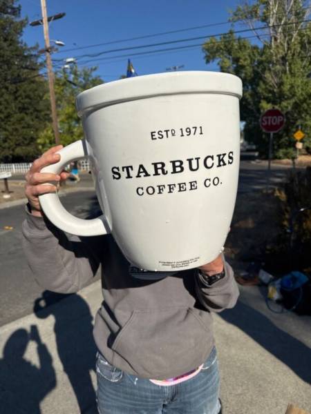 Starbucks Giant Abbey Classic Ceramic Mug  138 oz (1 Gallon) Limited Ed. 2016 - Sold on eBay October 20th, 2024 for $250.00