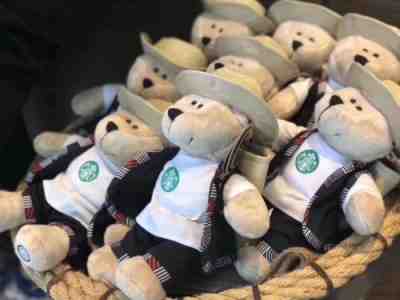 New Starbucks China 2018 Puer City Bearista Bear 1pc - Sold on eBay Nov, 18th 2018 for $49.99