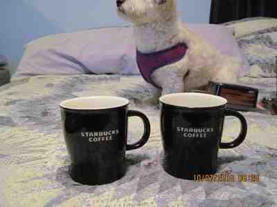 Lot of 2 Starbucks Coffee Mug 2008 Black White Bone China 16 Oz Mint Cup - Sold on eBay Oct, 26th 2018 for $23.88