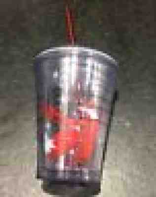 Starbucks Holiday 2012 Clear Cold To Go Cup Tall 12 oz Red Fox Tumbler - Sold on eBay Sep, 8th 2018 for $13.99