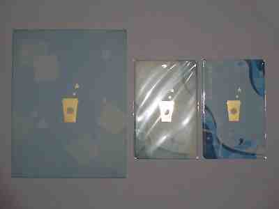Starbucks Coffee China 2012 Summer MSR Used Card - Sold on eBay Nov, 13th 2018 for $200.00
