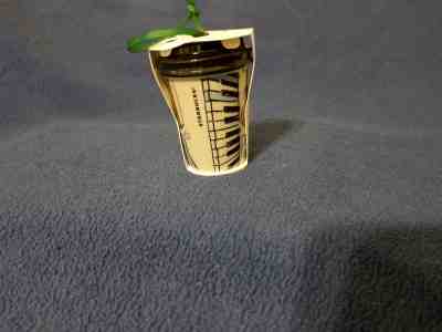 STARBUCKS MISSISSIPPI COFFEE MUG ORNAMENT, NEW - Sold on eBay Nov, 23rd 2018 for $16.99